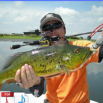 The Definitive Guide To Tackle Bass Fishing - W